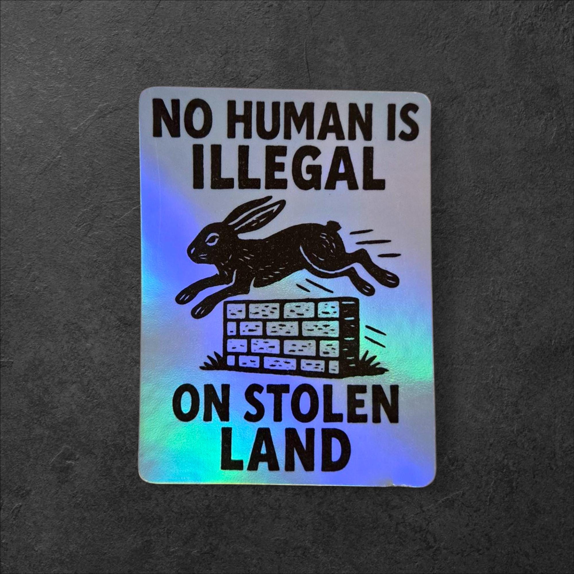 No Human Is Illegal Sticker – Political Vinyl Decal with Rabbit and Wall Design