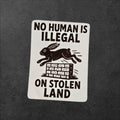 No Human Is Illegal Sticker – Political Vinyl Decal with Rabbit and Wall Design