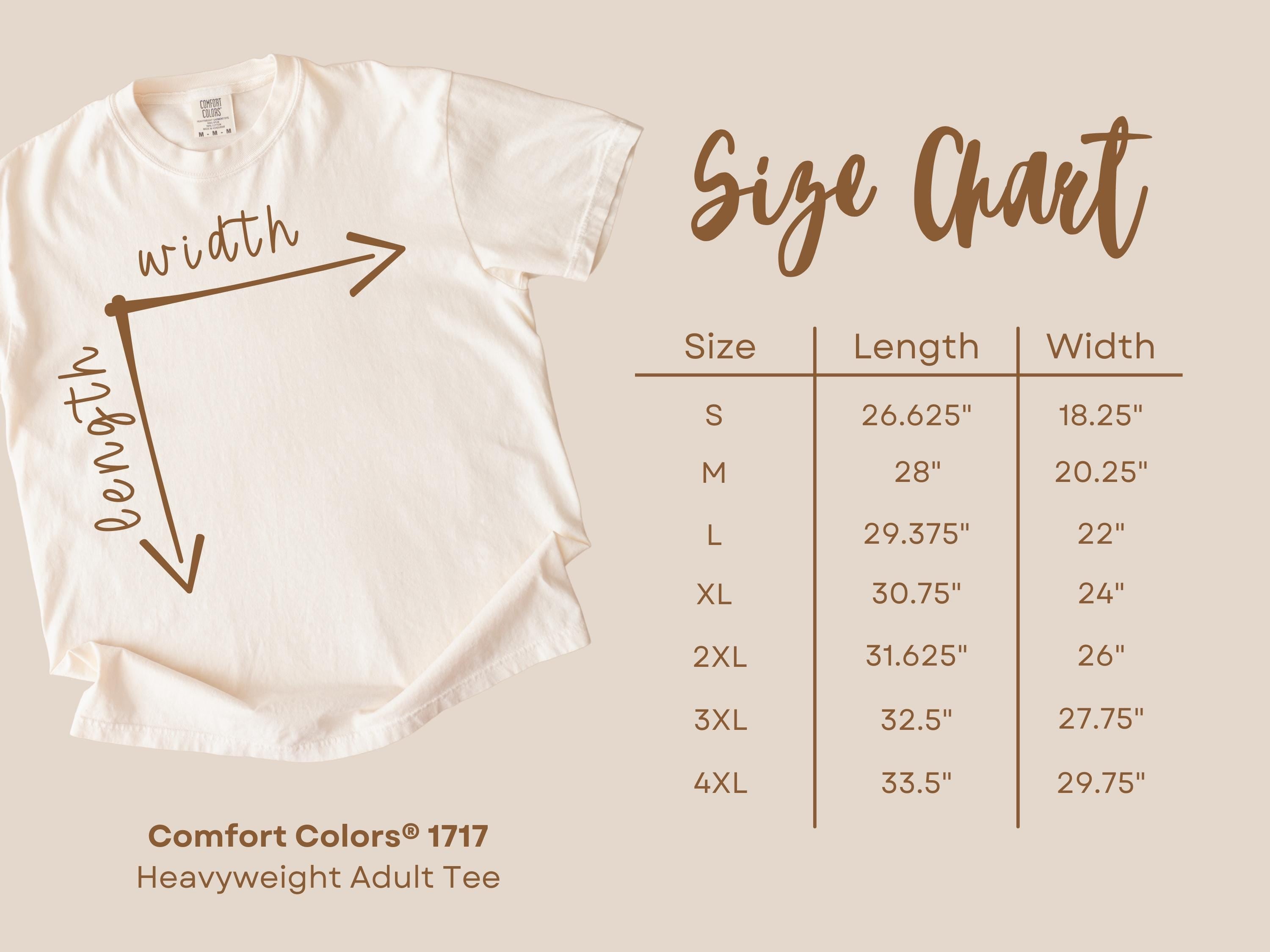 Stray Kids Skz Vintage Music Comfort Colors Shirt