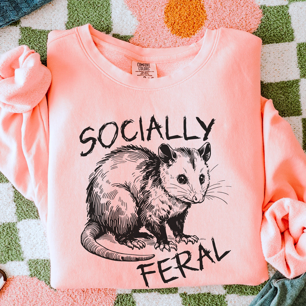 Socially Feral graphic sweatshirt featuring Funny Possum