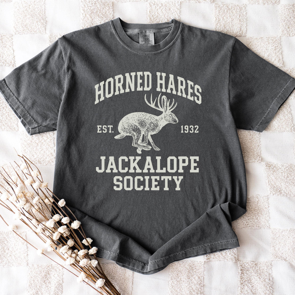 Product photo of Horned Hares Jackalope Society T-shirt