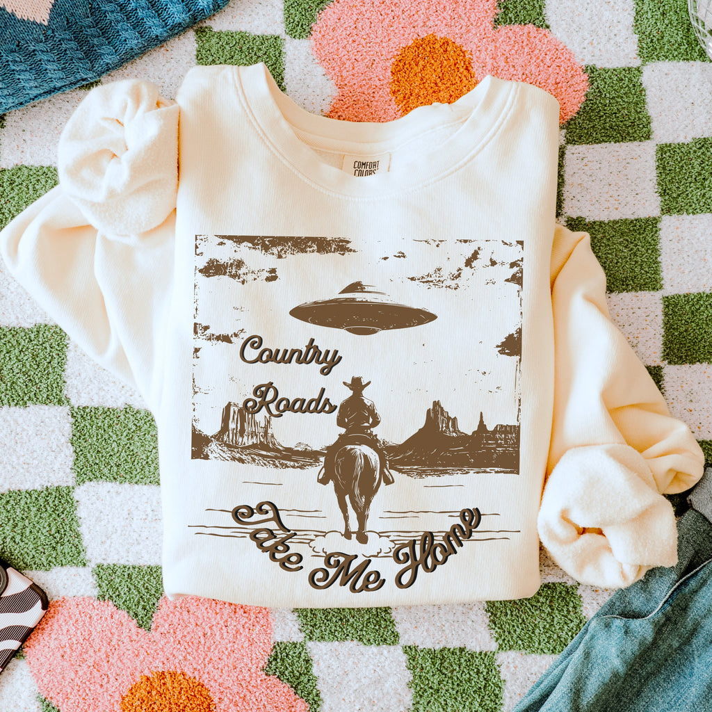 Product photo of Country Roads UFO Cowboy sweatshirt