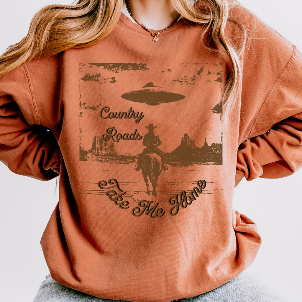 Additional photo of Country Roads UFO Cowboy sweatshirt