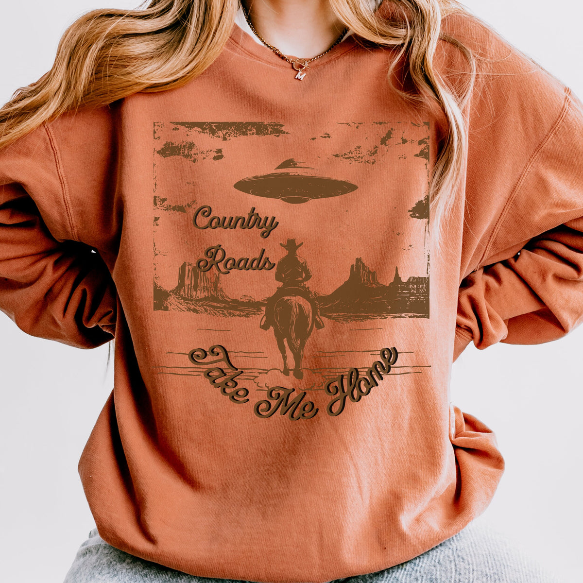 Additional photo of Country Roads UFO Cowboy sweatshirt