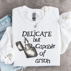 Product photo of Delicate But Capable of Arson sweatshirt