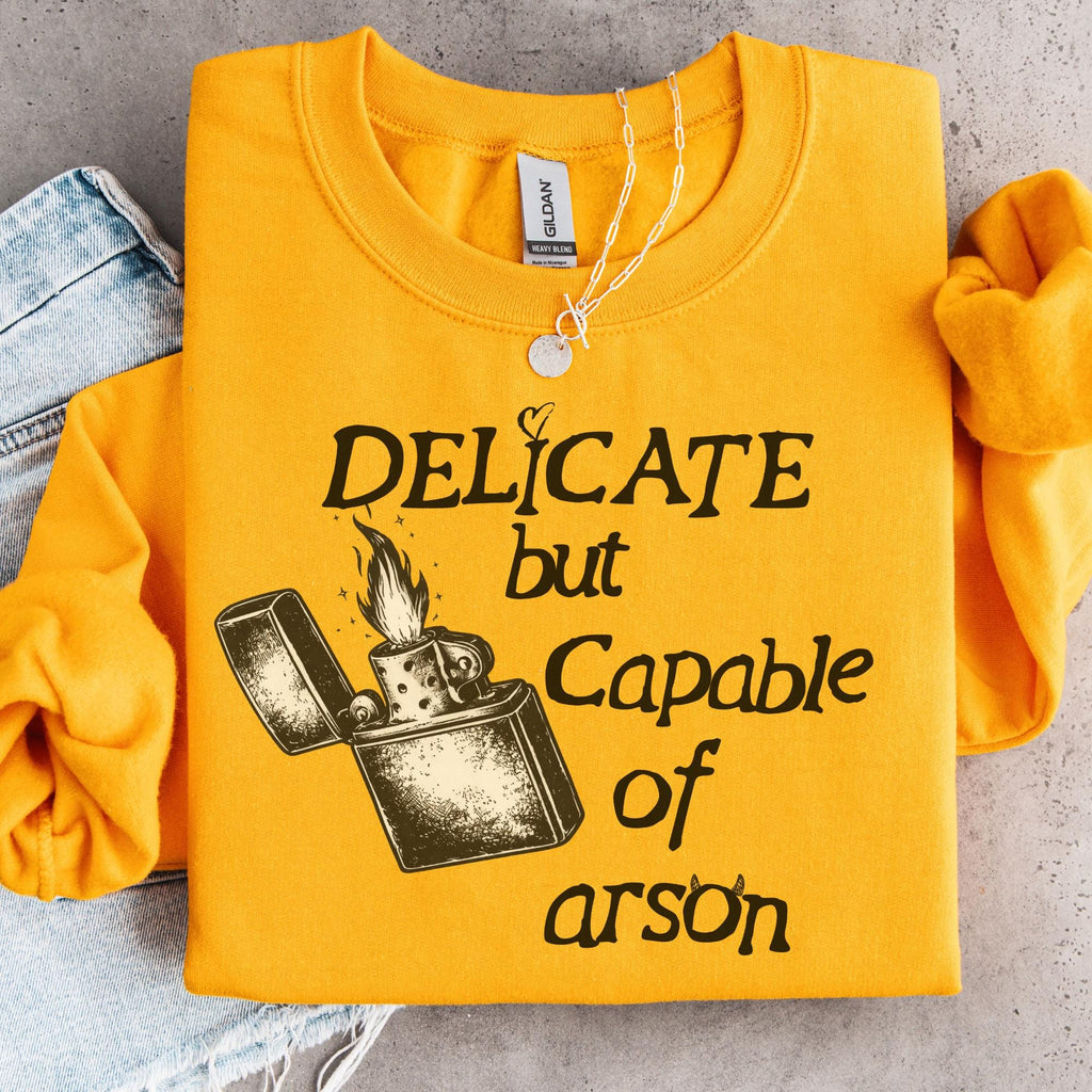 Additional photo of Delicate But Capable of Arson sweatshirt