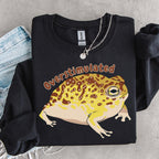 Additional photo of Overstimulated Frog — Funny Frog sweatshirt