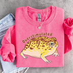 Additional photo of Overstimulated Frog — Funny Frog sweatshirt