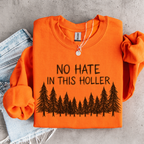 No Hate in This Holler Sweatshirt, Appalachian Anti-Hate Crewneck, Inclusive Rural Pride Graphic