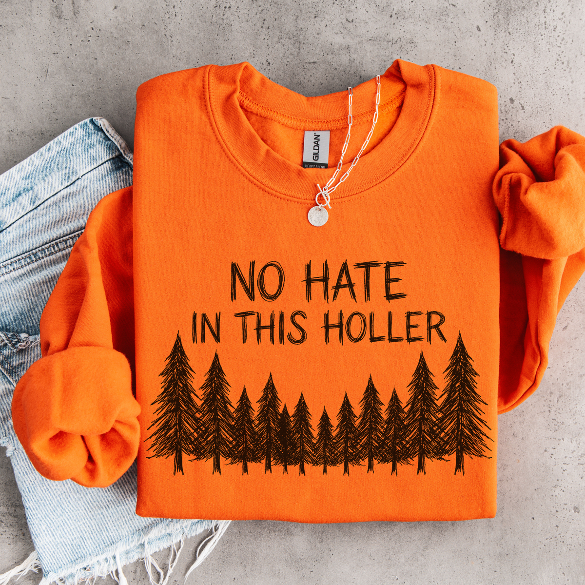 No Hate in This Holler Sweatshirt, Appalachian Anti-Hate Crewneck, Inclusive Rural Pride Graphic