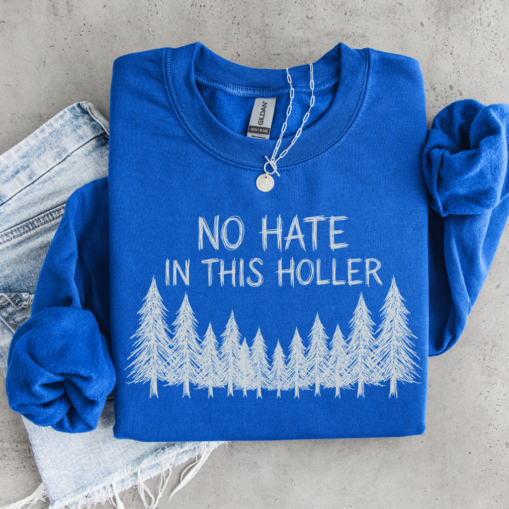 No Hate in This Holler Sweatshirt, Appalachian Anti-Hate Crewneck, Inclusive Rural Pride Graphic