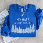 No Hate in This Holler Sweatshirt, Appalachian Anti-Hate Crewneck, Inclusive Rural Pride Graphic