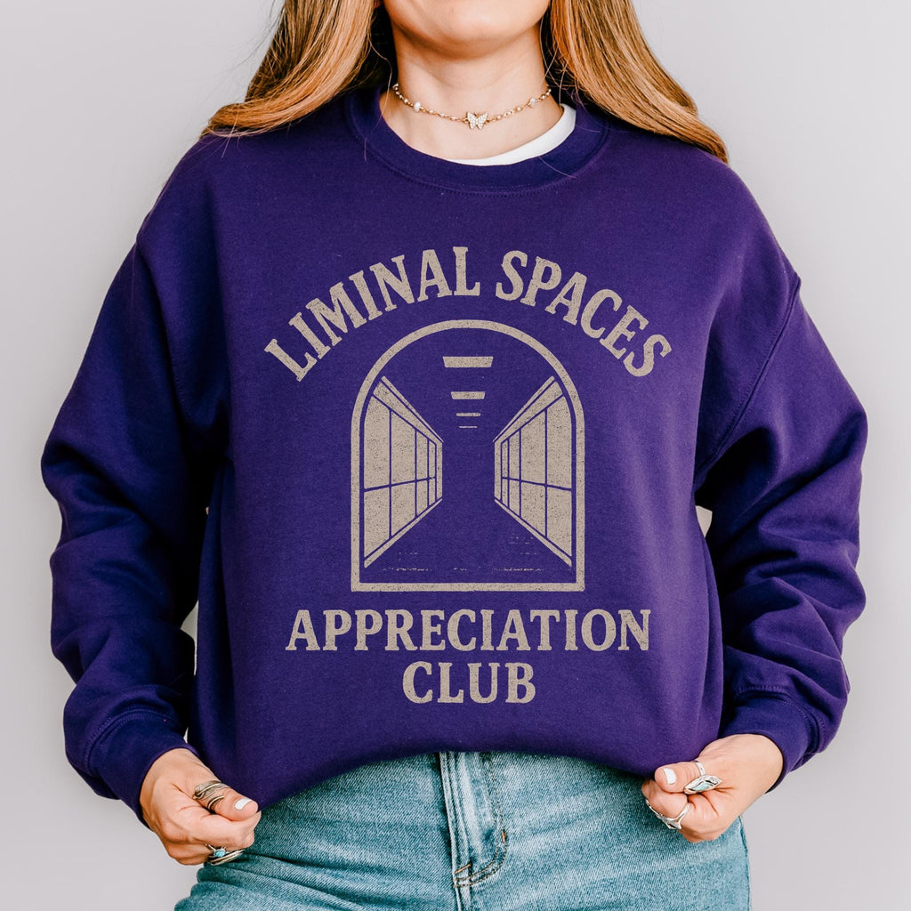 Liminal Spaces Appreciation Club Sweatshirt, Weirdcore Dreamcore Hallway Graphic