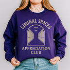 Liminal Spaces Appreciation Club Sweatshirt, Weirdcore Dreamcore Hallway Graphic