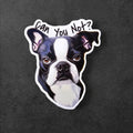 Meme Dog Can You Not | Sarcasm Funny Sticker | Water Resistant Decal | Water Bottle