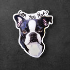 Meme Dog Can You Not vinyl sticker featuring Sarcasm Funny Sticker