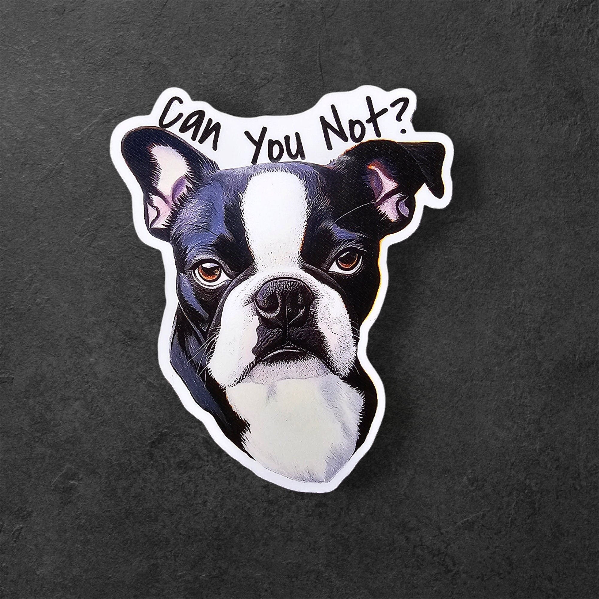 Meme Dog Can You Not | Sarcasm Funny Sticker | Water Resistant Decal | Water Bottle