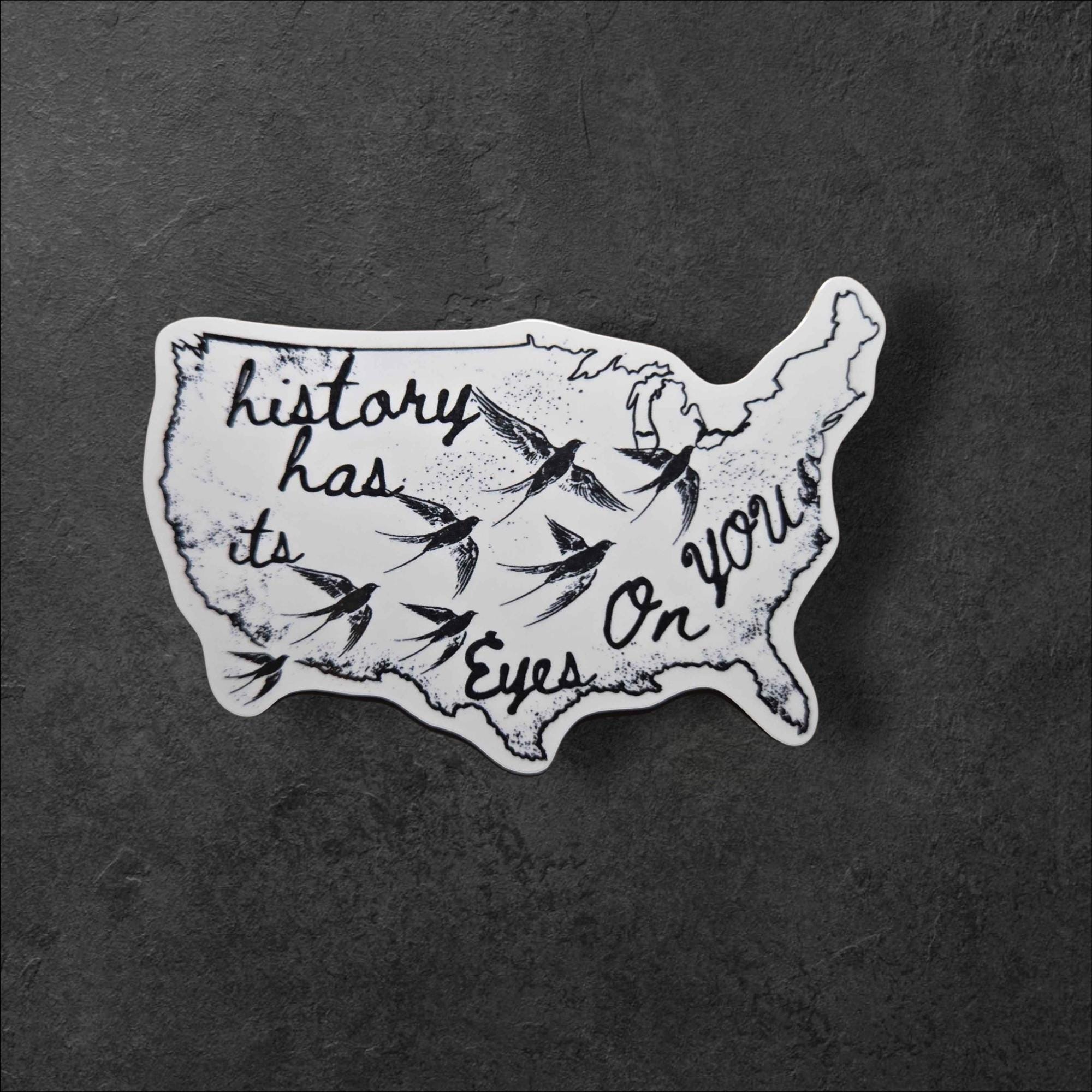 History Has Its Eyes on You Sticker | Political Protest, Anti Fascism, Laptop Water Bottle