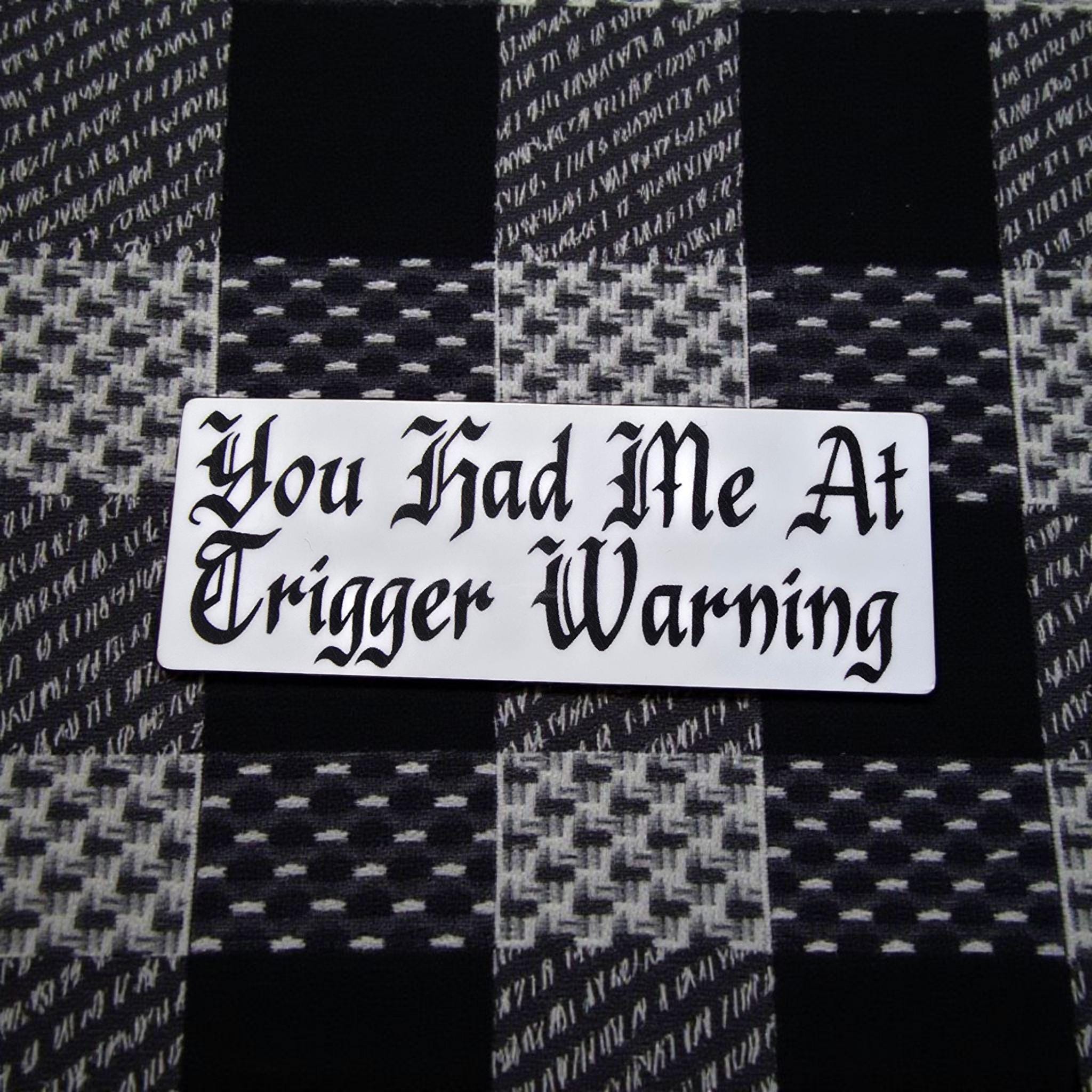 Spicy Book Decal, You Had Me at Trigger Warning, Dark Romance Reader Gift