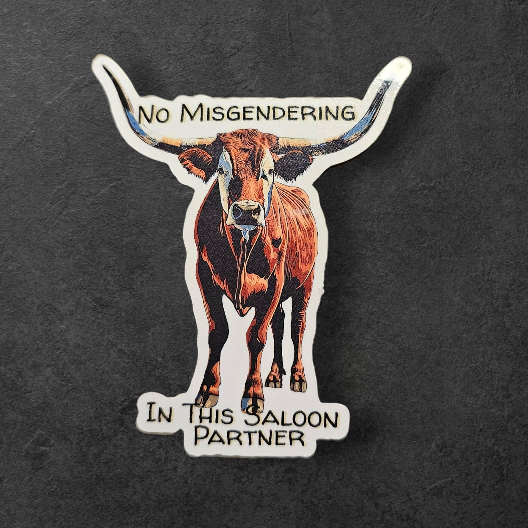 Longhorn Cow Sticker: No Misgendering in This Saloon - LGBTQ+ Ally