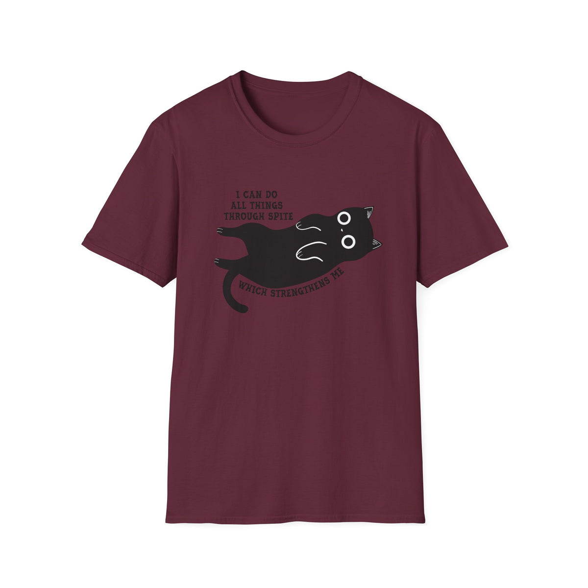 Additional photo of Cat Graphic — "I Can Do All Things Through Spit" Cute Funny Cat T-shirt