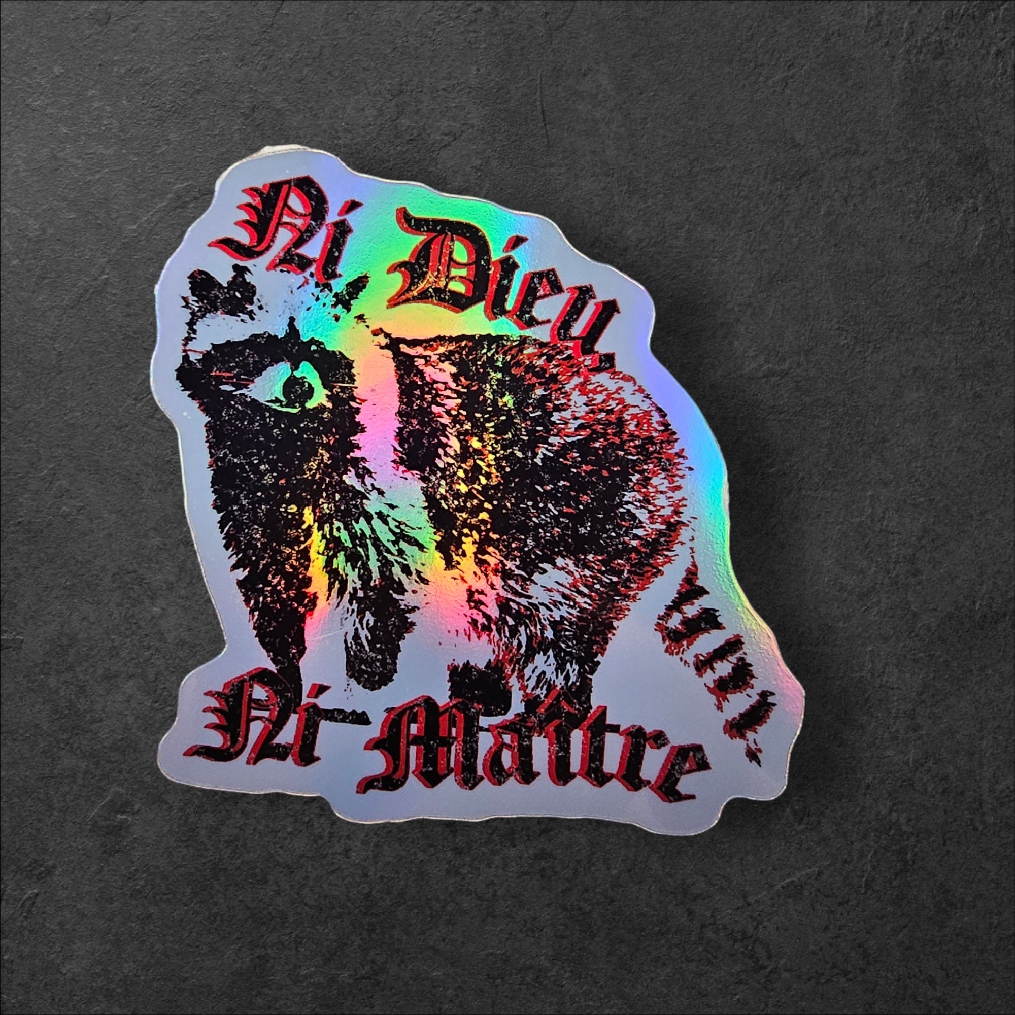 Ni Dieu Ni Maître Raccoon Sticker – Gothic Anarchist Vinyl Decal