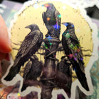 Raven Familiar : Holographic Witchy Bird vinyl sticker