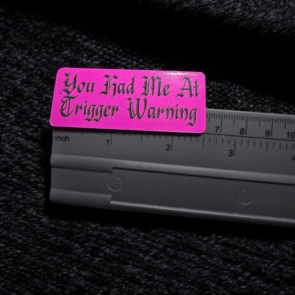 Spicy Book Decal, You Had Me at Trigger Warning, Dark Romance Reader Gift