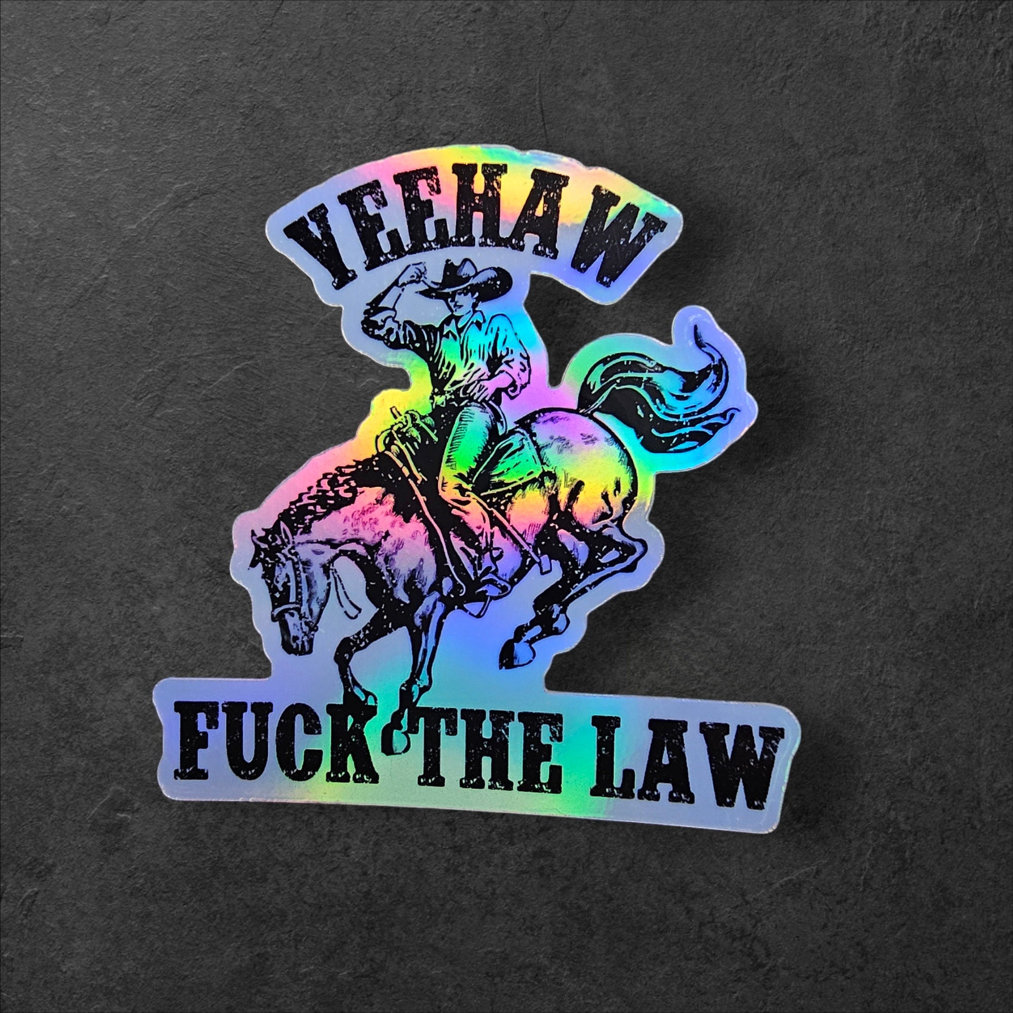 Yeehaw F The Law, Southern Protest Sticker, Southern ACAB Decal, Equal Rights