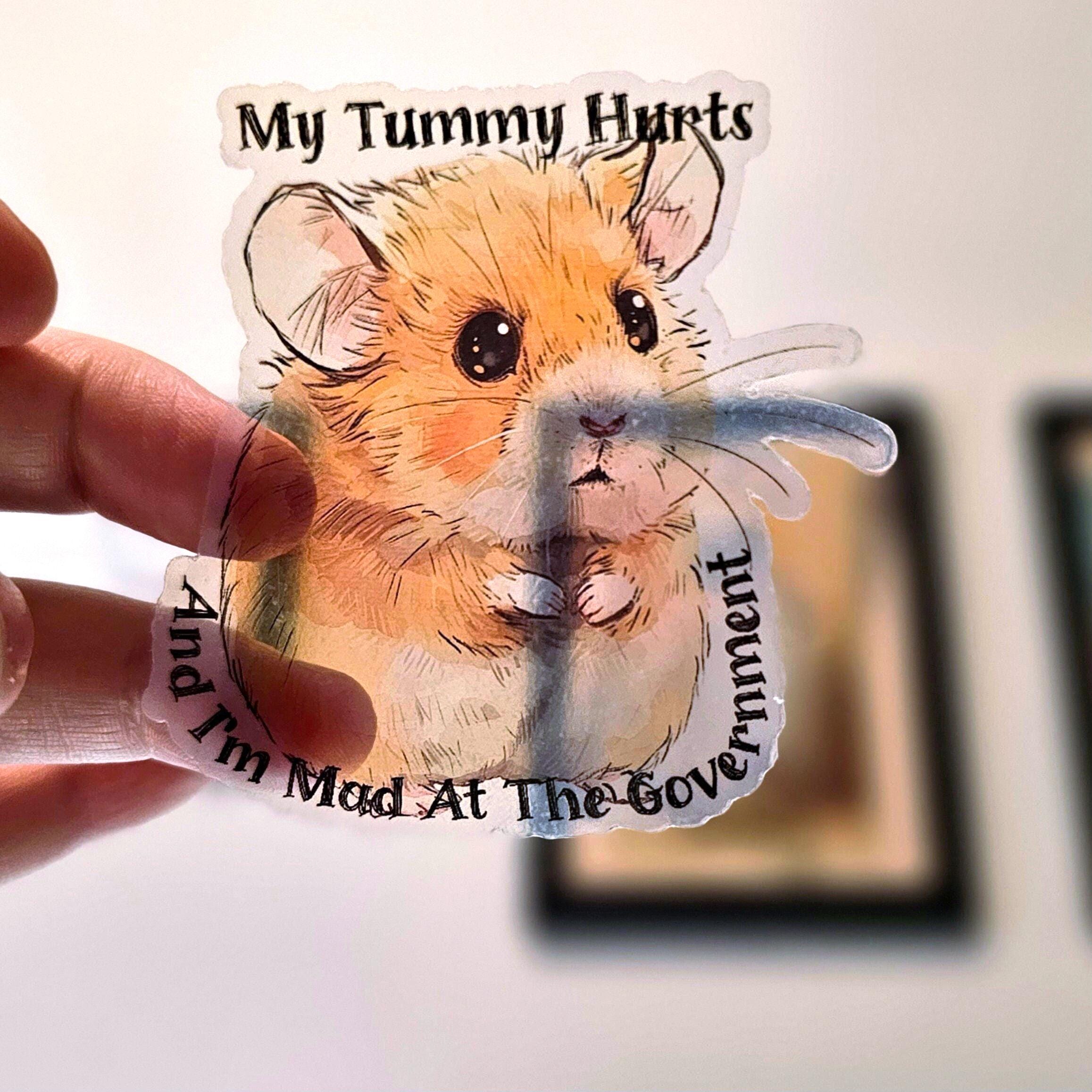 Funny Hamster Sticker: My Tummy Hurts, Mad at Government - Clear Decal
