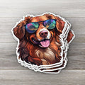 Nova Scotia Duck Tolling Retriever Sticker: Holographic Dog Decal