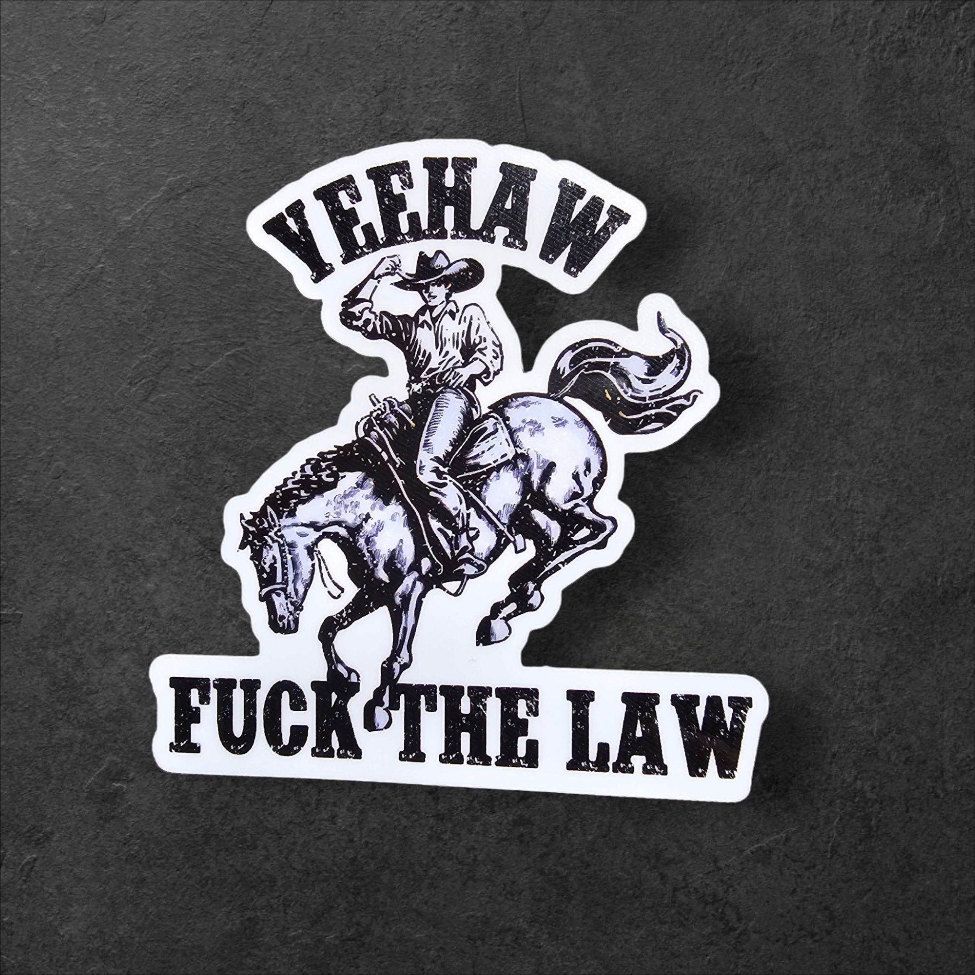 Yeehaw F The Law, Southern Protest Sticker, Southern ACAB Decal, Equal Rights