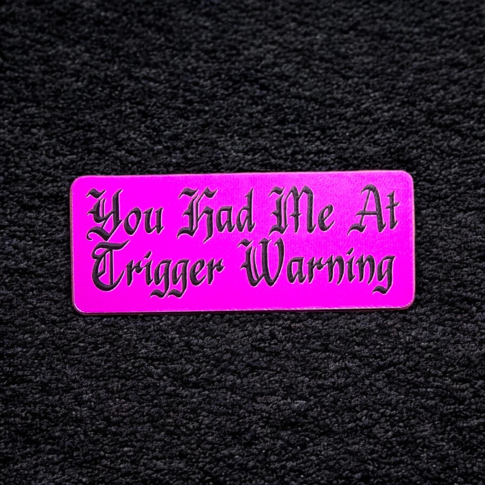 Spicy Book Decal, You Had Me at Trigger Warning, Dark Romance Reader Gift