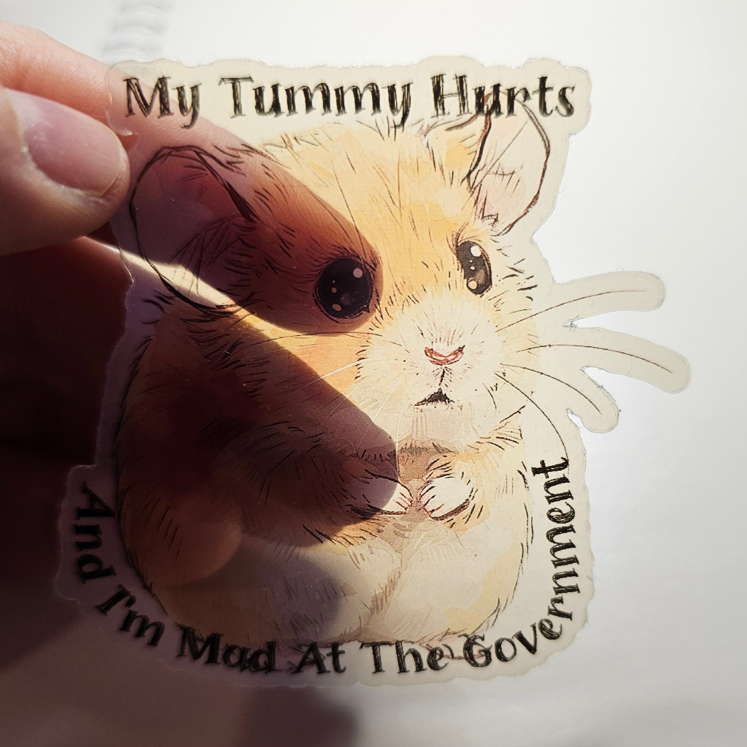 Funny Hamster Sticker: My Tummy Hurts, Mad at Government - Clear Decal