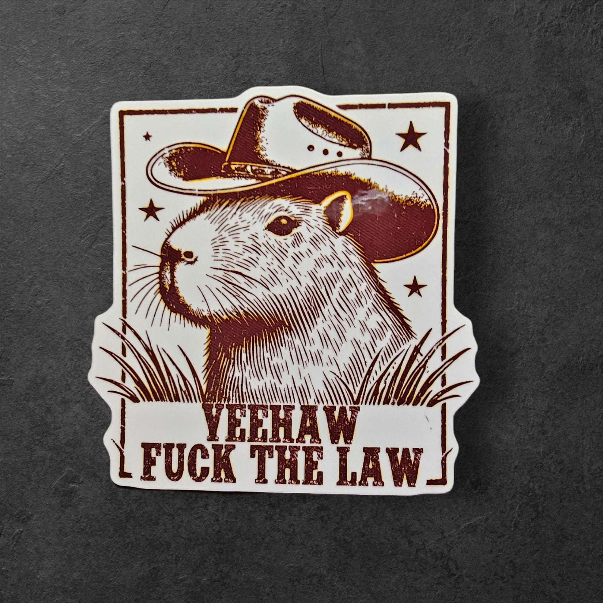 Yeehaw F The Law, Cowboy Capybara Southern Protest Sticker, Southern ACAB Decal, Equal Rights