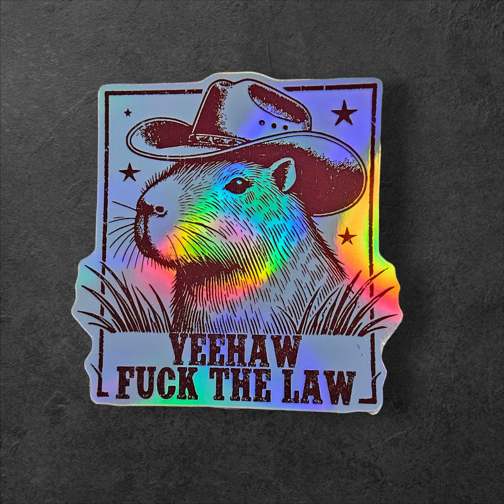 Yeehaw F The Law, Cowboy Capybara Southern Protest Sticker, Southern ACAB Decal, Equal Rights