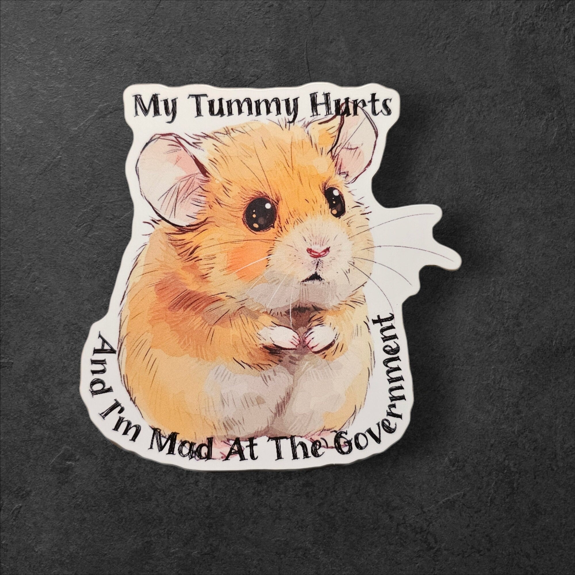 Funny Hamster Sticker: My Tummy Hurts, Mad at Government - Clear Decal