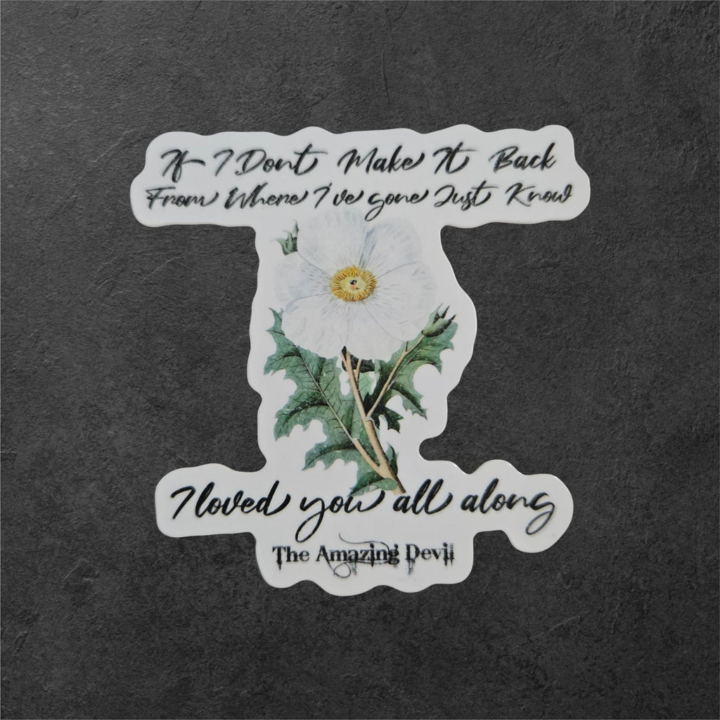 Inkpot Gods Sticker | The Amazing Devil Lyric Sticker, If I Don’t Make It Back Quote, Indie Folk Music Vinyl Sticker