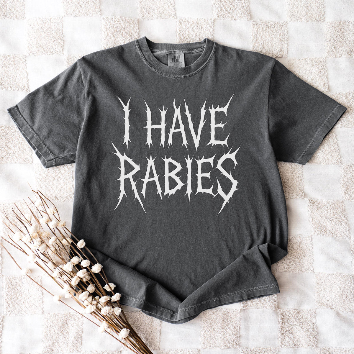 The Faithful Familiar charcoal Comfort Colors graphic tee with white distressed metal-style text reading I HAVE RABIES.